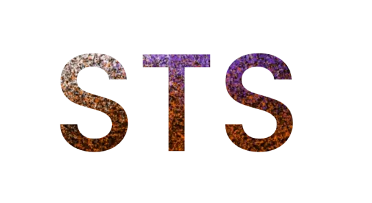 Voice-to-Voice (STS)